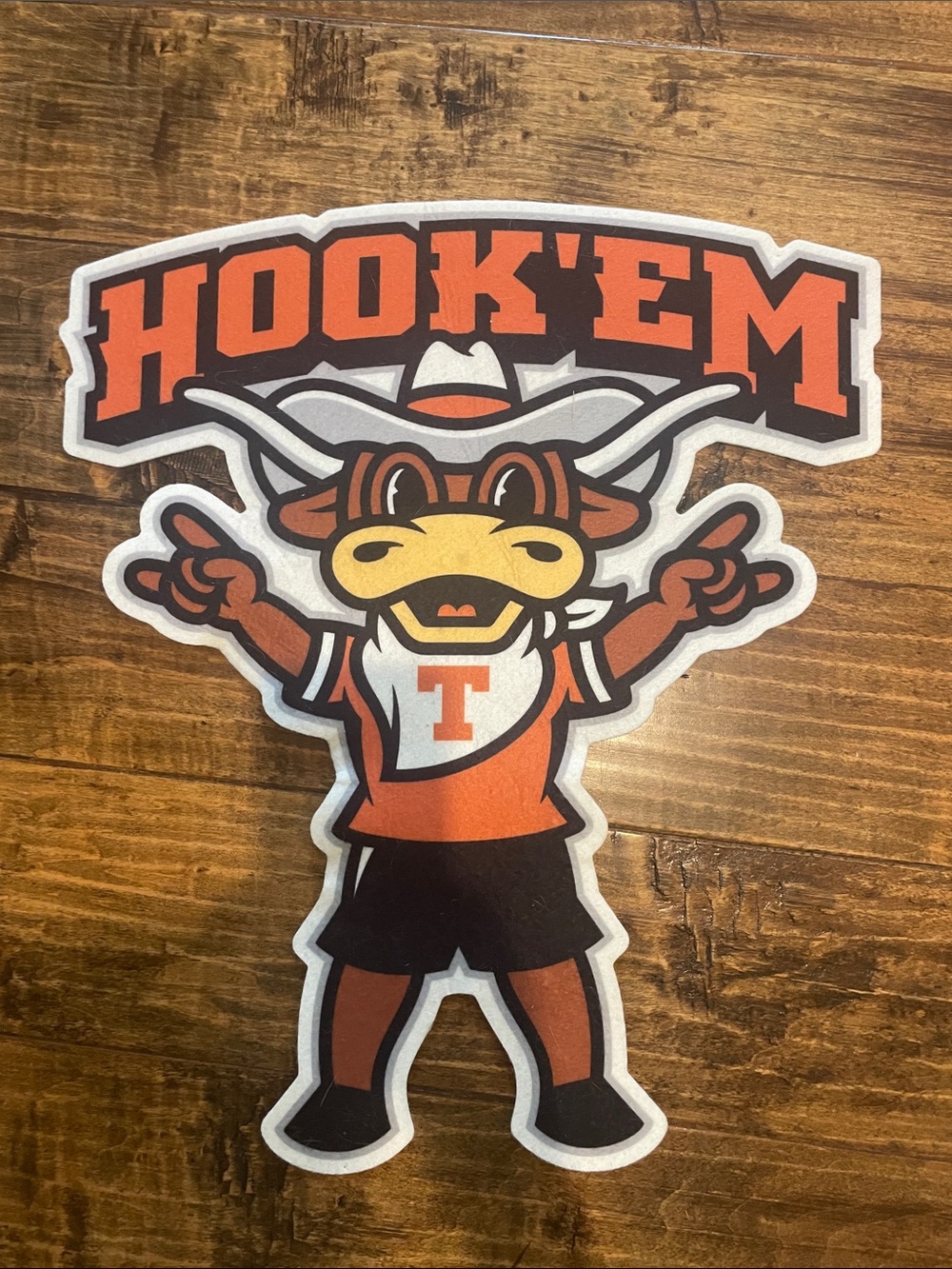 Texas Longhorns Hook ‘Em wall decor pennant